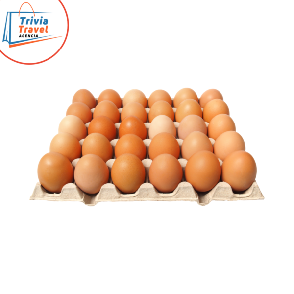 Huevos 30und